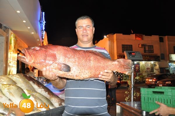 monir re7la sharm 817 (102).JPG